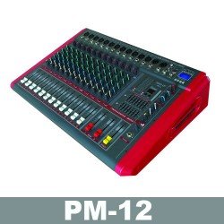 PM 12